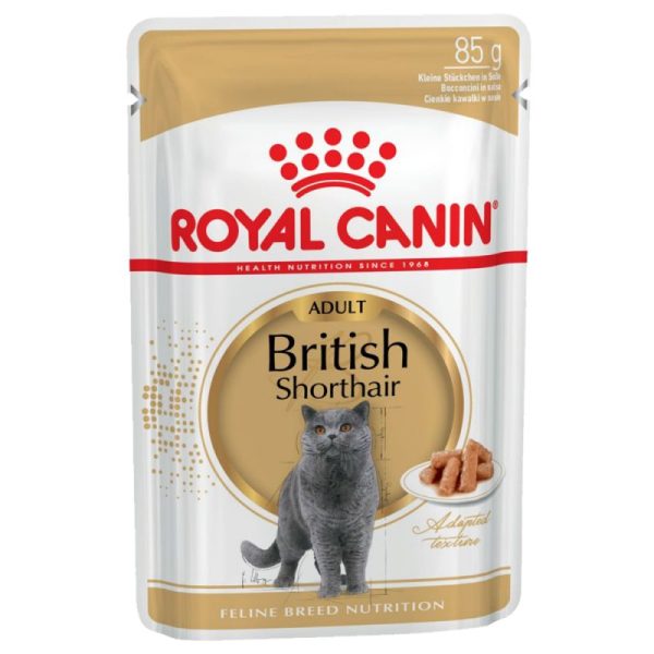 پوچ گربه رویال کنین مخصوص گربه بریتیش | British Shorthair